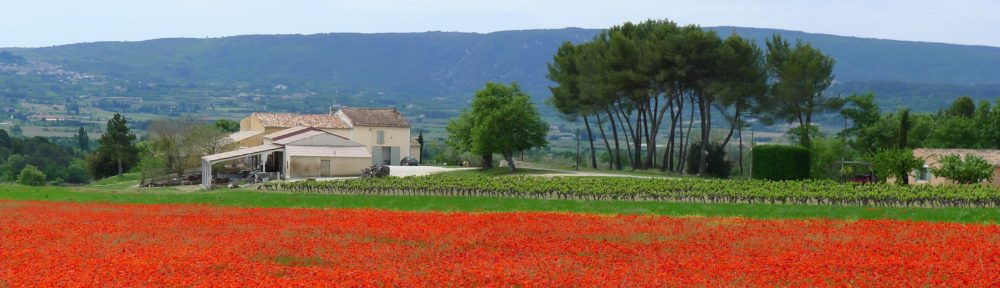 Life in Provence
